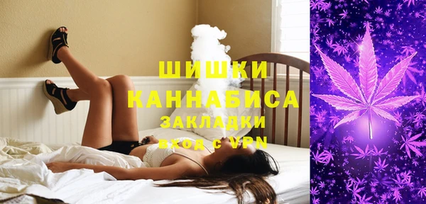 ешки Арсеньев