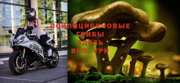 mdpv Аркадак