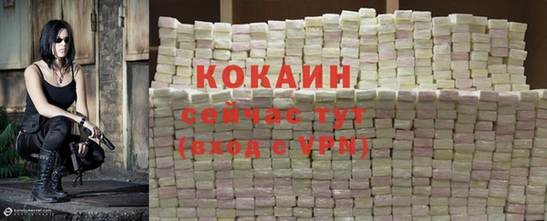 ешки Арсеньев